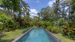 Ein rechteckiger Pool mit klarem Wasser, umgeben von üppiger Vegetation und Palmen.