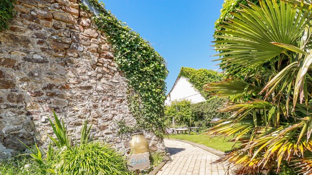 A stone pathway leading to a rustic building with ivy-covered walls and a garden with various plants and flowers. - Abalone (Bude)