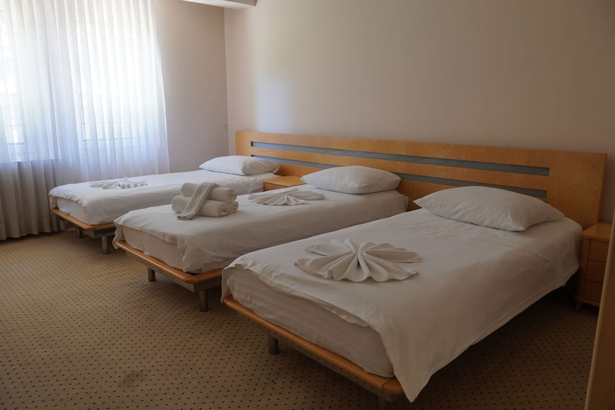 Blackout curtains, iron/ironing board, free WiFi, bed sheets