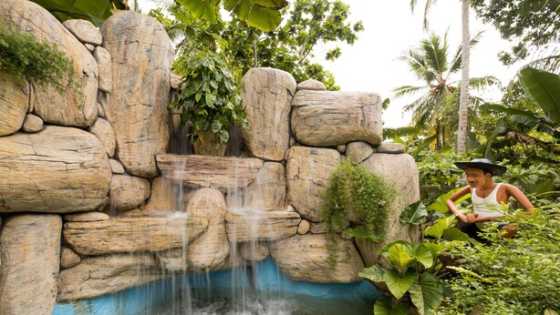 Ein Wasserfall stürzt über eine felsige Wand, umgeben von üppiger Vegetation.