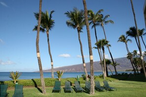 Zona relax in spiaggia, con palme e vista sull'oceano.