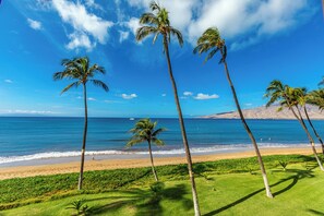 A beach with palm trees and a clear blue sky.