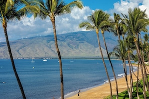 Ein Strand mit Palmen, blauem Himmel und einem Berg im Hintergrund.