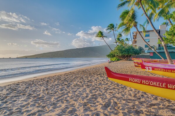 A beach with a row of canoes, palm trees, and a building in the background.