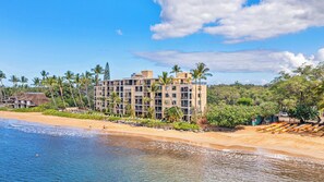 Un hotel frente a la playa con varios pisos, una playa de arena y palmeras.
