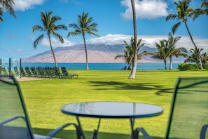 A view of a grassy area with palm trees and a table, overlooking a body of water and mountains.