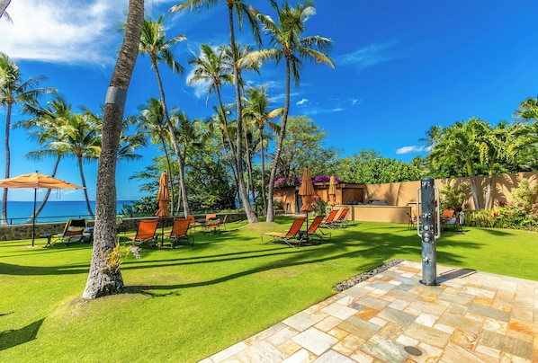 Un espacio tropical al aire libre con palmeras, un patio de piedra y sillas de descanso.