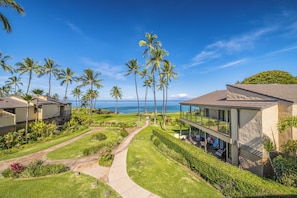 A resort with a pathway leading to a pool, surrounded by palm trees and a view of the ocean.
