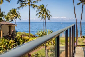 A balcony with a view of the ocean and palm trees.