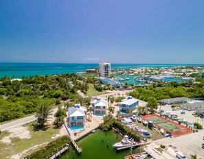 Unclassified image, 5 of 49, button