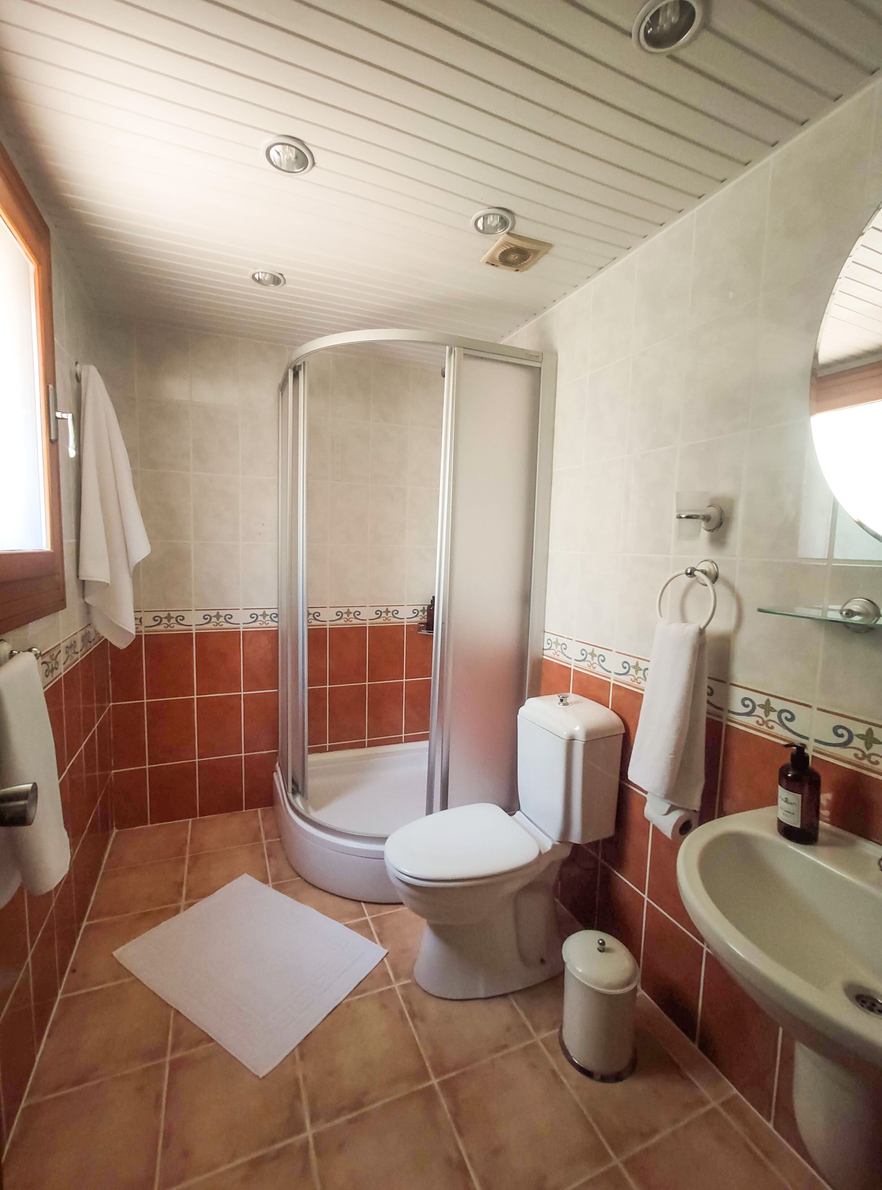 Un baño con ducha, inodoro, lavamanos y espejo.