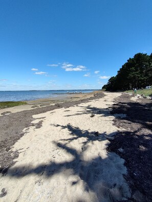 Ranta lähistöllä