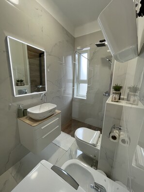 Departamento | Baño | Regadera, secadora de cabello, toallas, shampoo