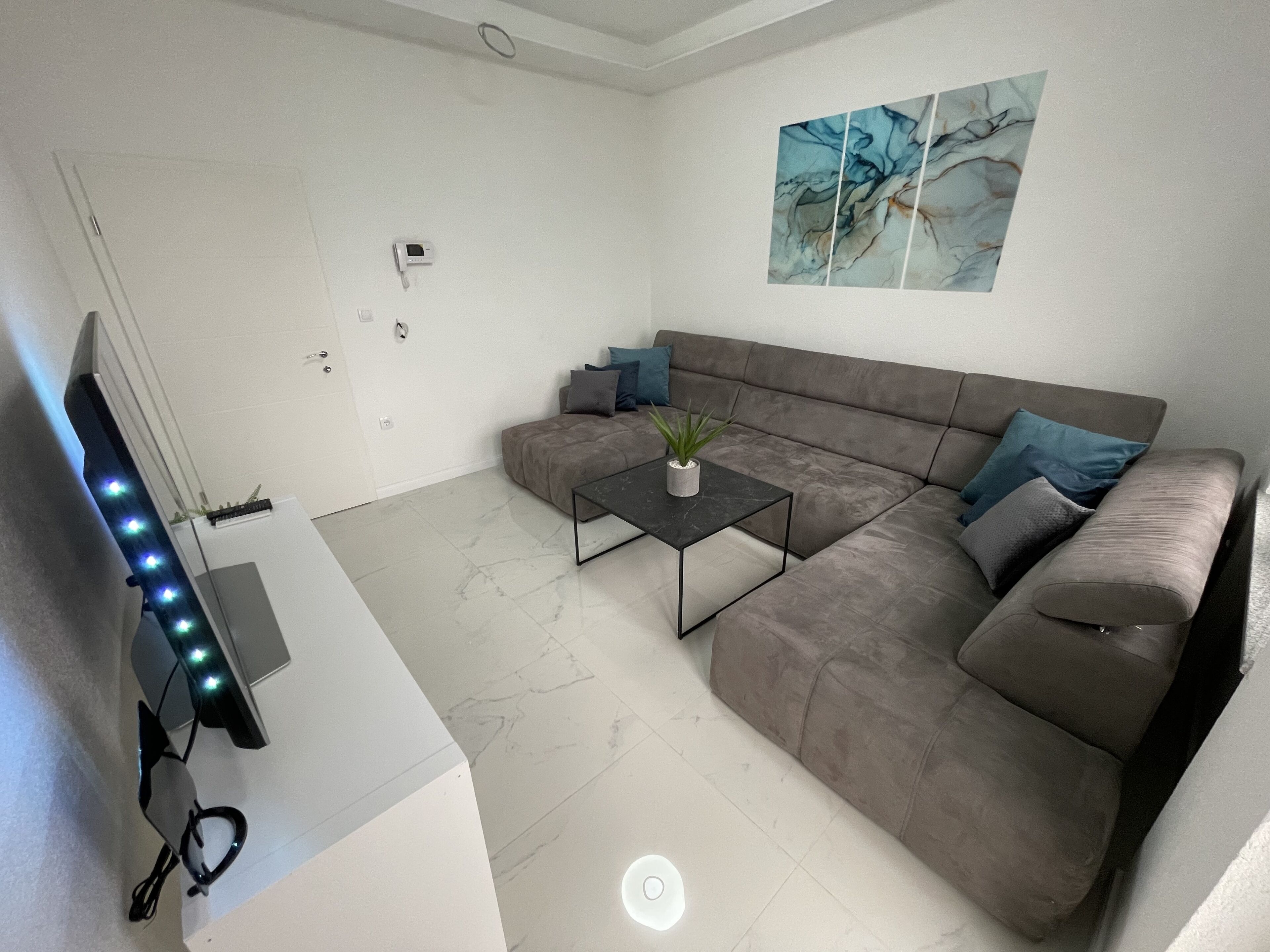 Un salon moderne avec un canapé d’angle gris, une petite table basse agrémentée d’une plante et un téléviseur à écran plat.