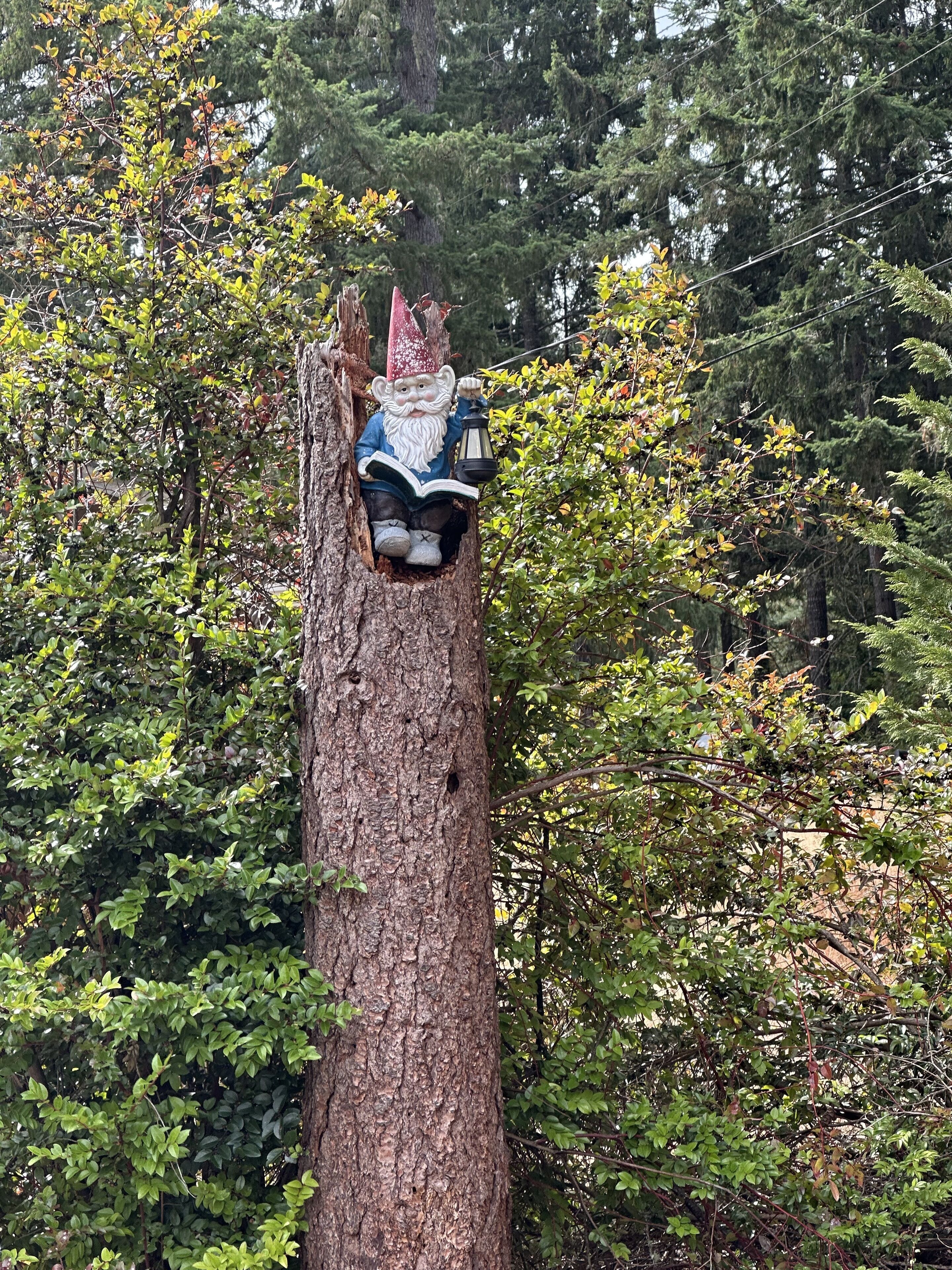 A tree with a gnome figure sitting in a hollow, holding a lantern.