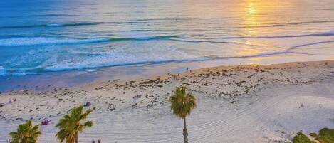 A beach with palm trees and people walking along the shore.