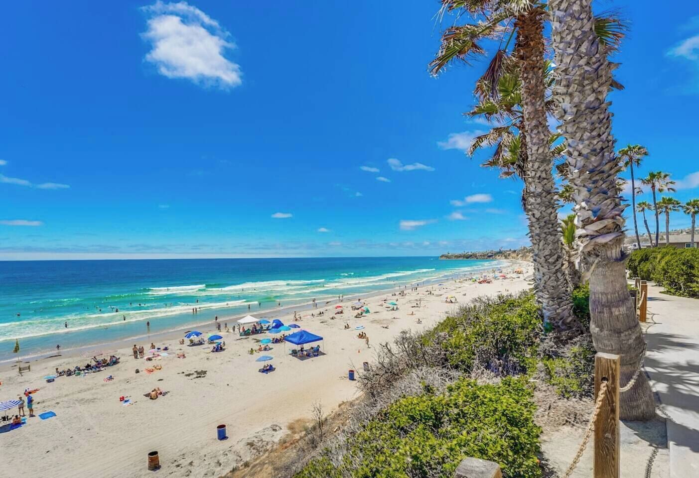 A beach with a clear sky, palm trees, and people enjoying the sun.