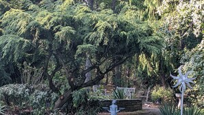 A stone-lined pool with a statue and lush greenery. - TREETOPS house! AUG openings! A Reunion/Retreat estate! Seasonal POOL! Sleeps 12 (Guilford)