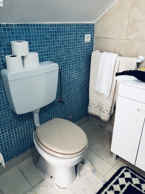 Shower, hair dryer, towels, soap