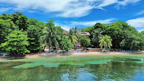 A beachfront property with a pool, palm trees, and a house.