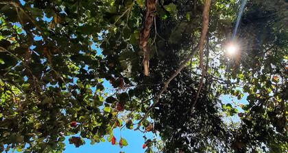Sky and Sea House - Breakfast Included, Comfort, Nature and Adventure.