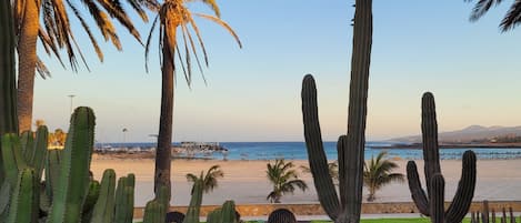 Nära stranden, solstolar och strandhanddukar