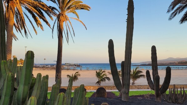 Beach nearby, sun-loungers, beach towels