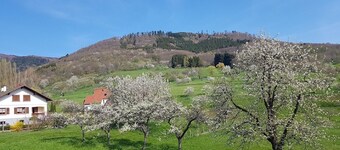 Casa de vacaciones Breitenbach para 1 - 8 personas con 4 dormitorios - Casa de vacaciones