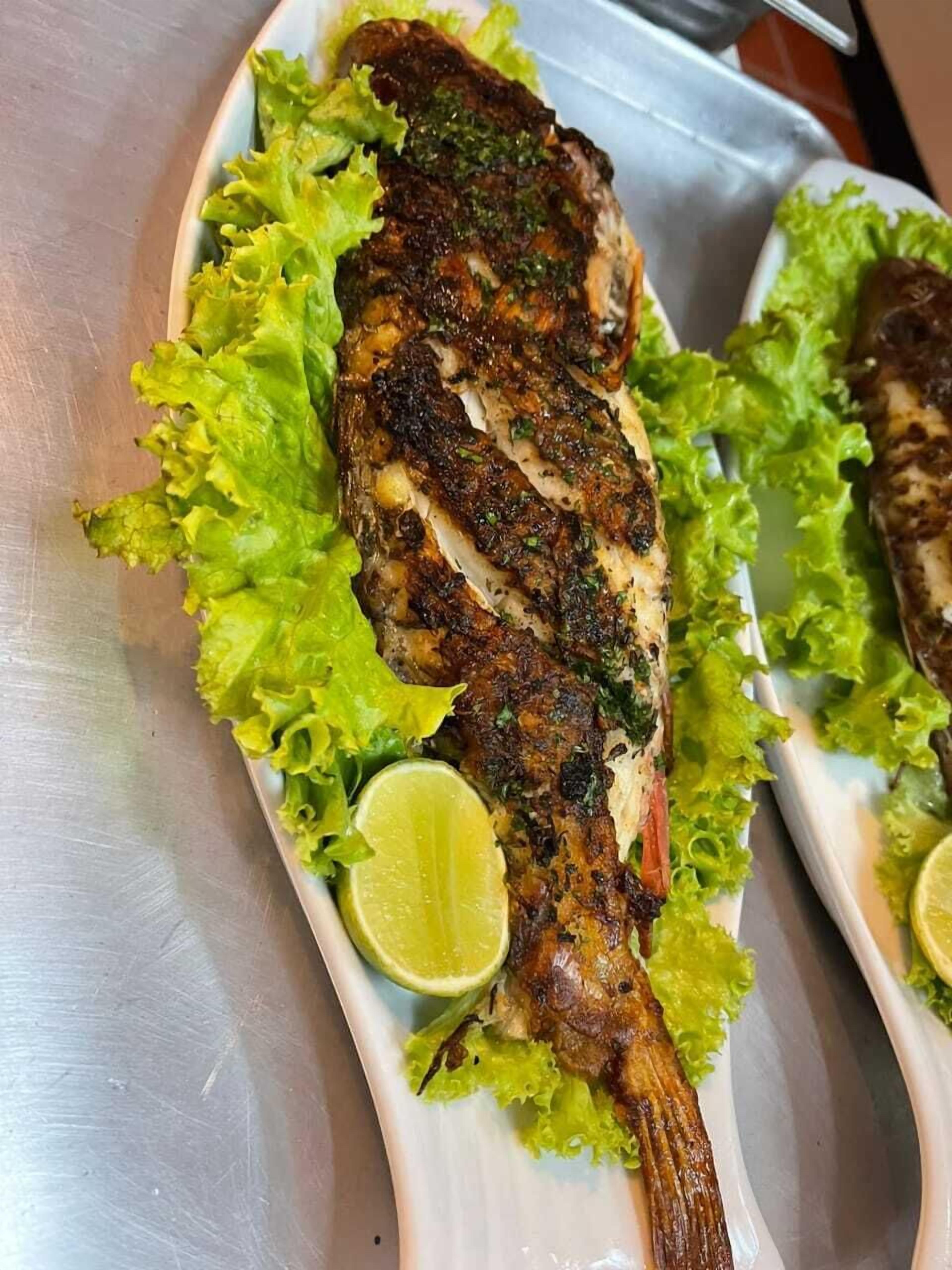 Foto - My Home Hotel Punta Cana