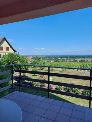 A balcony with a view of a rural landscape, including fields and a distant building. - Appartement (Gueberschwihr)