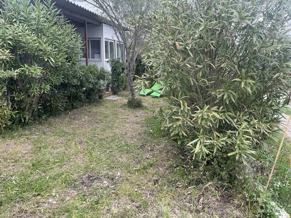 Enjoy a serene outdoor space with a well-manicured lawn and lush vegetation.