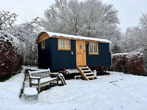 A small, dark blue cabin with a wooden door and windows, surrounded by snow-covered trees and a bench in front.