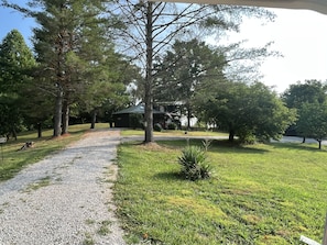 A gravel path leading to a house surrounded by trees.