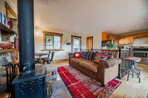 TV, fireplace, books