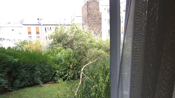 A view of a grassy area with a hedge and a stone wall in the background. - Logement Clair ET Spacieux (Paris)