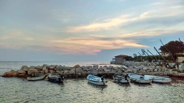 Enjoy serene waterfront views from the comfort of your accommodation.