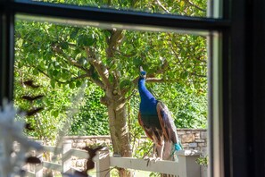 Luxury Cottage, Private Bathroom, Garden View | Garden - Northern Hideaways Apple Store, Ellingham (Chathill)