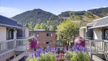 Condo (Expansive 2 Bedroom Downtown Aspen C) | Exterior