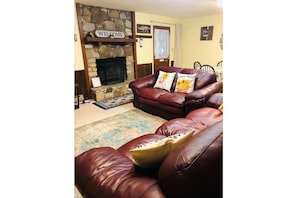 Smart TV, fireplace, books, music library