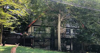 Beech Gem PRIVATE GUEST SUITE nestled on Beech