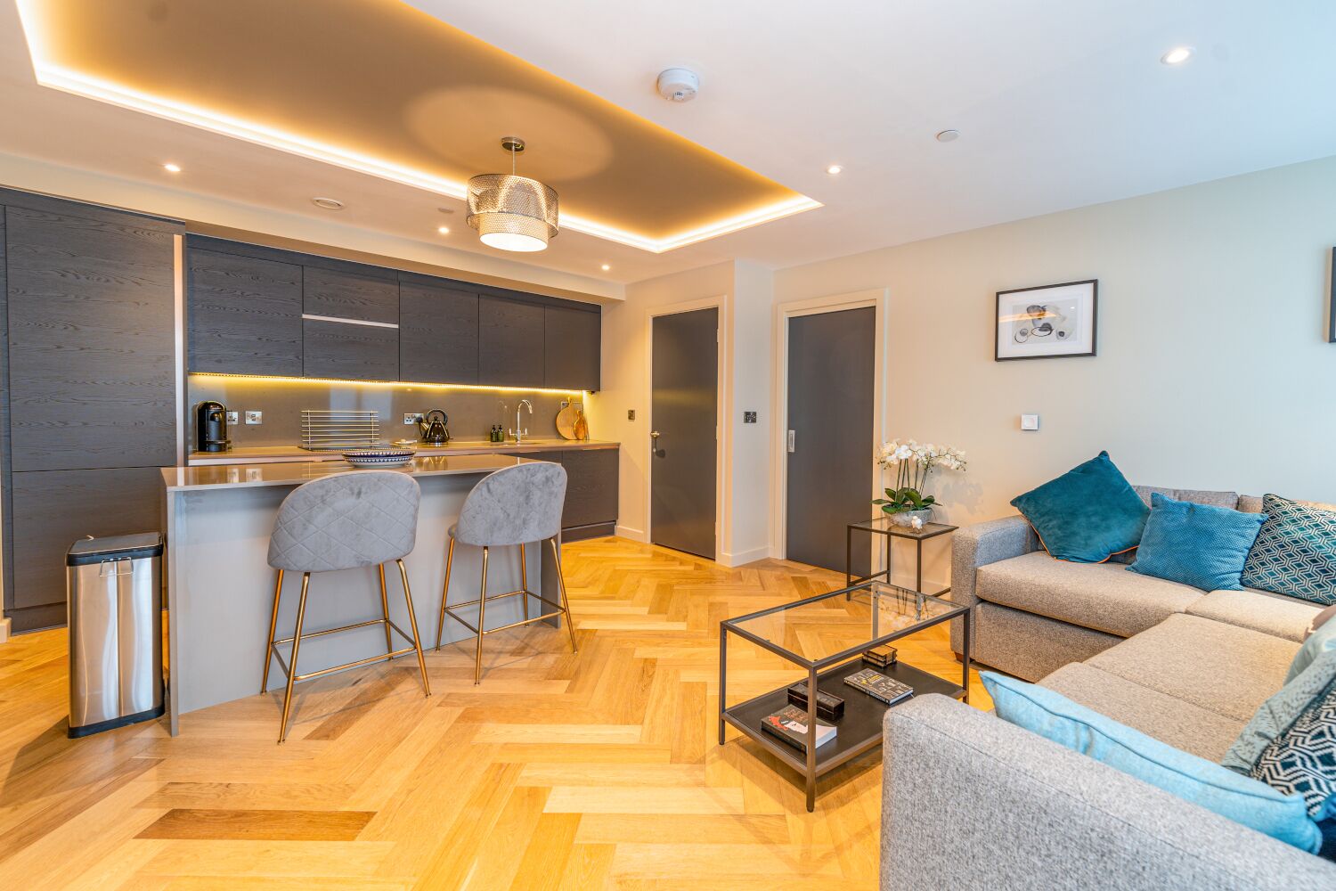 Luxury Apartment, Ensuite (Entire) | Shared kitchen