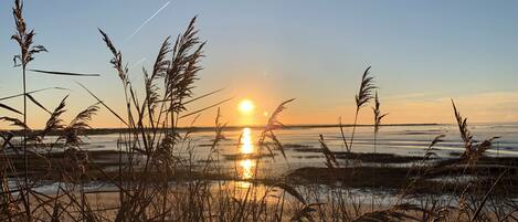 Beach nearby, sun-loungers, beach towels