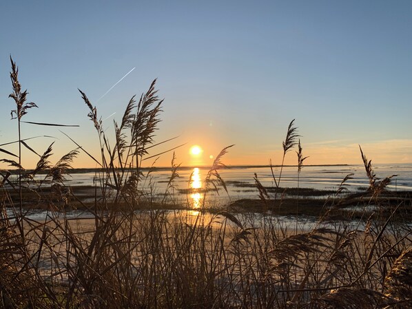 Tæt på stranden, liggestole, badehåndklæder