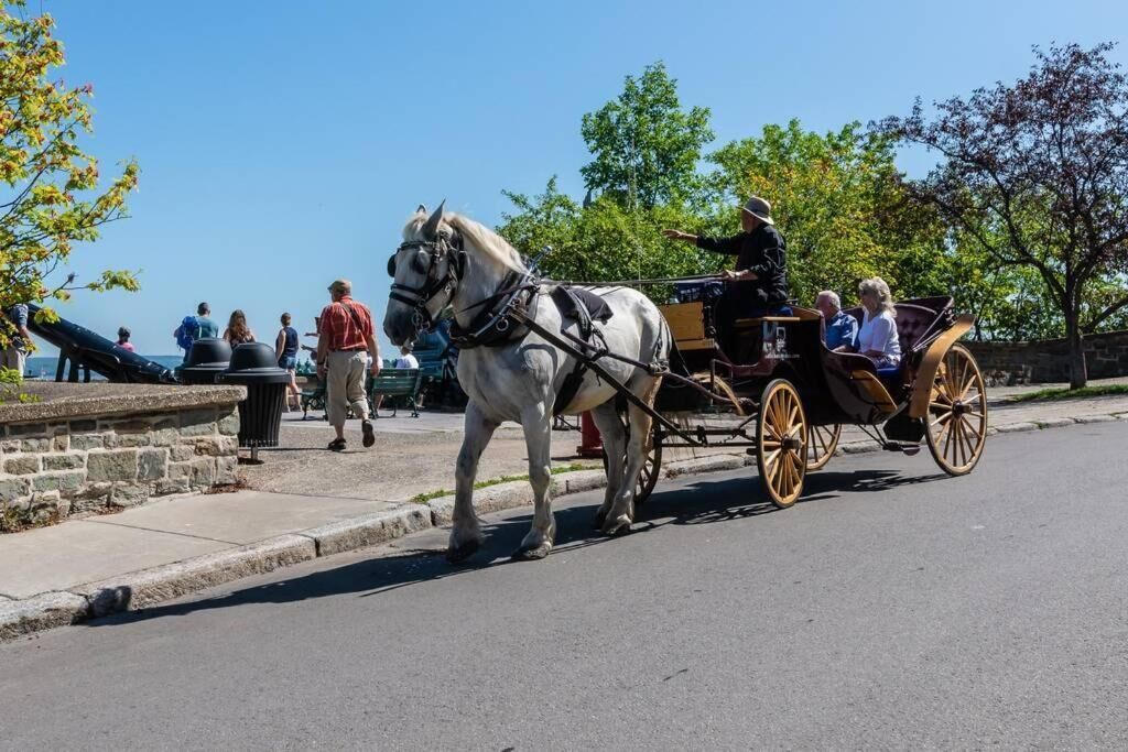 Une calèche tirée par des chevaux se trouve dans une rue où des gens se promènent et sont assis sur des bancs.