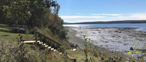 Un paysage côtier avec un escalier en bois descendant vers une plage.