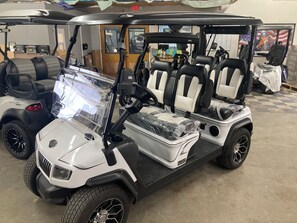 Property grounds - Private Heated Pool and Hottub , Pet Friendly, New Golf Cart , Close to shopping (Lady Lake)