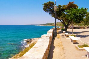 Playa en los alrededores 