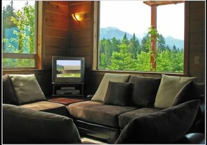 Smart TV, chimenea, libros y estéreo 