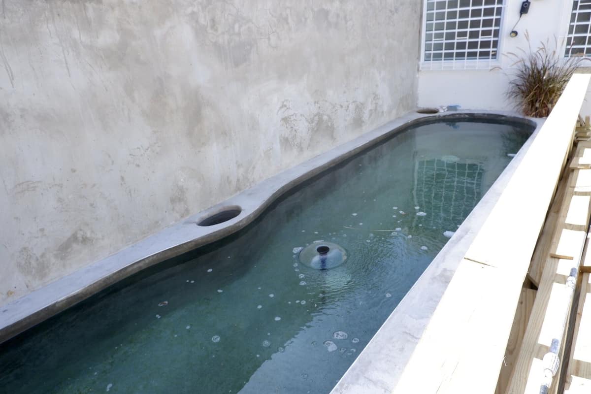 Uma piscina pequena e retangular com um orifício de escoamento e tampa circular, rodeada por uma borda de concreto.