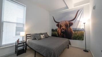 2 slaapkamers, een strijkplank/strijkijzer, wifi, beddengoed